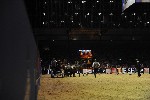 Extreme - 00827